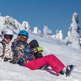 Морозные ёлки на Драгобрате icon