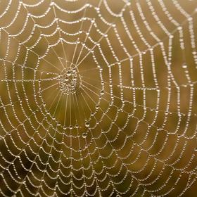  Осенние карпаты. Часть 1. Октябрь. icon