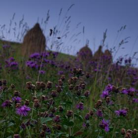 Карпаты. 5 дней сказки - Icon