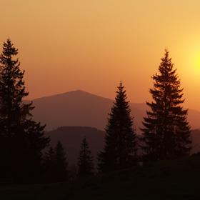 Черный Черемош - Icon