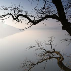 Новый год 2009 на Бакоте - Icon