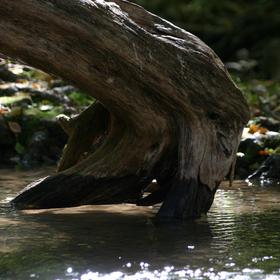 Крым, поход по 3-ем каньонам - Icon