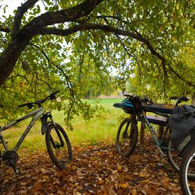 Трахтемиров. Осень 2012 icon