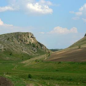 Молдова (2014) - Icon