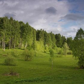 Путивльщина (2009) - Icon