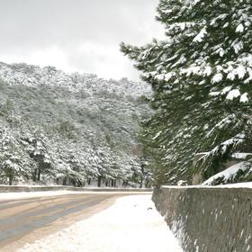 Кримські весняні контрасти (2010) - Icon