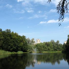 Голосіївські покотенькі - Icon