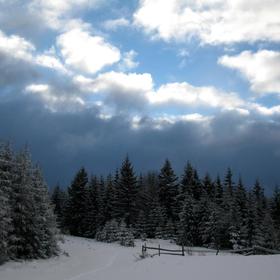 Лижні Карпати (2013) - Icon