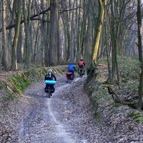 ТБВНК (2014) - Icon