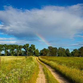 Сухолучча на велосипеді icon