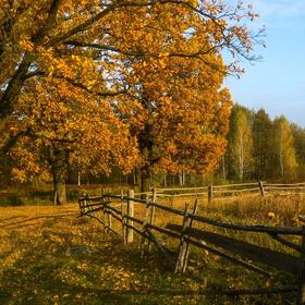 Дослідницьке Полісся (2014) - Icon