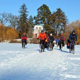 ТБВНК (2012) - Icon