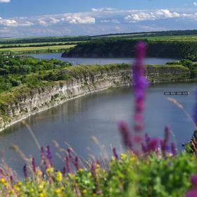 Кам'янець: за фруктами-ягодами (2014) - Icon