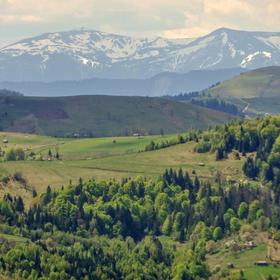 Товтро-Карпатський рейд - Icon