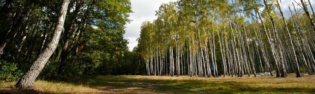 Леса и Озера Коростеня - Title image