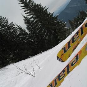 Февральские выходные в Славском - Icon