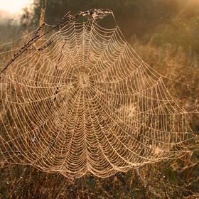 Черкассы, Осень 2005 - Icon