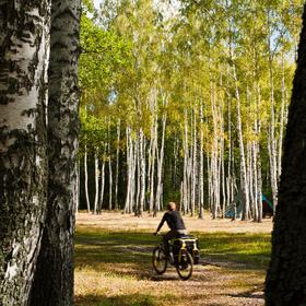 Леса и Озера Коростеня icon