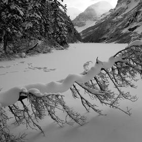 Канада, национальный парк Банфф - Icon