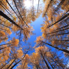 Восточные Саяны - Байкал 2009 - Icon