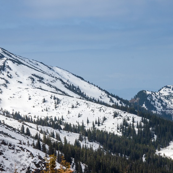 Мармароси-Чорногора - Icon