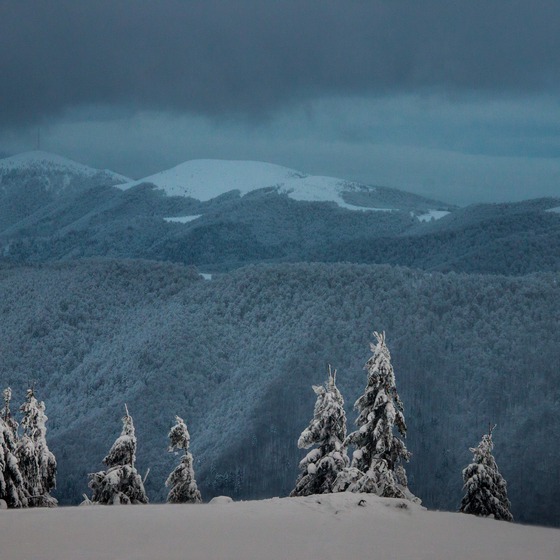 Лижний Свидовець - Icon