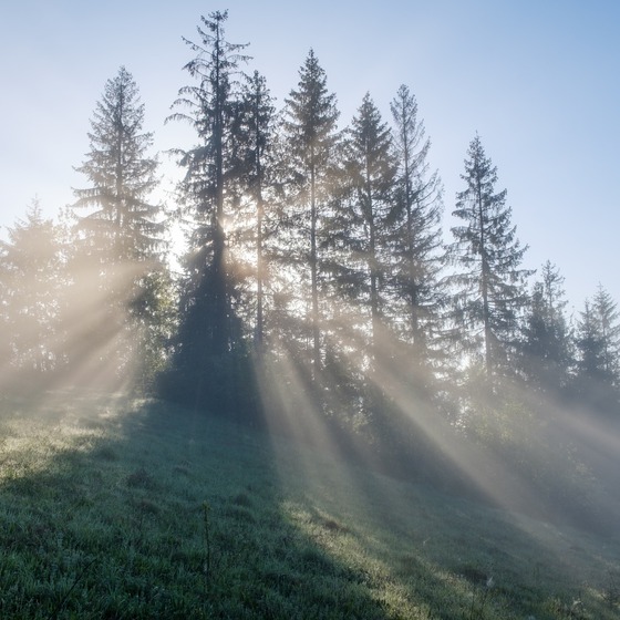 Карпати. Весна 2018 icon