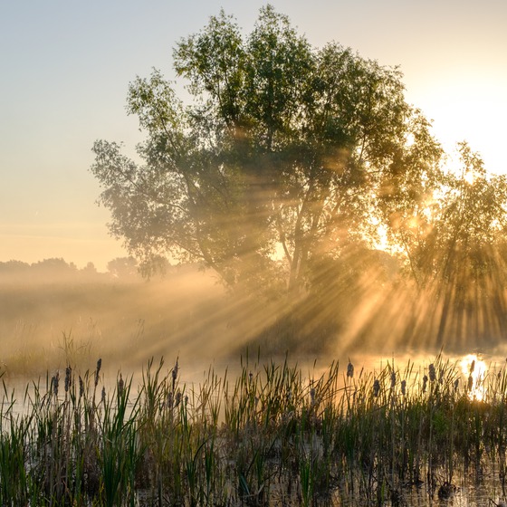 Київ, весна 2018 icon