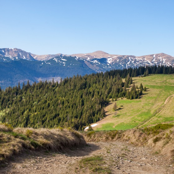 Прикордонні Карпати - Icon