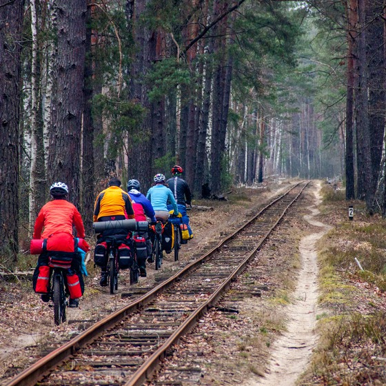 Антонівська вузькоколійка - Icon