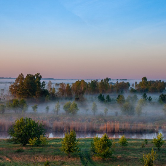Остерський небоян чи обігнати сонечко - Icon