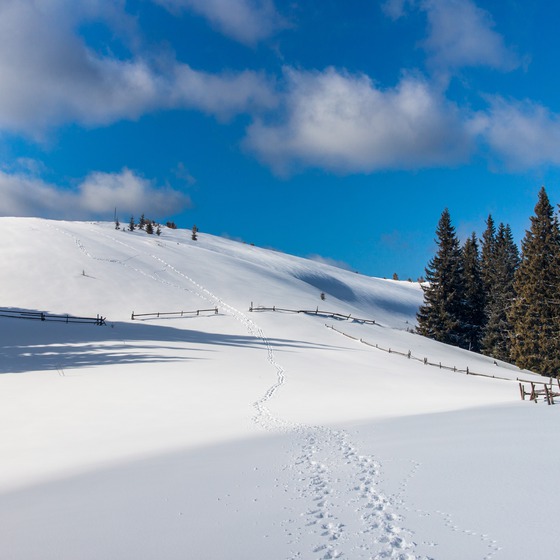 Запрутські Горгани - Icon
