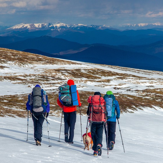Форельна Боржава - Icon