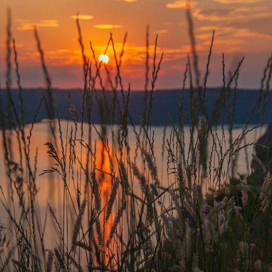 Товтри – повернення легенди - Icon