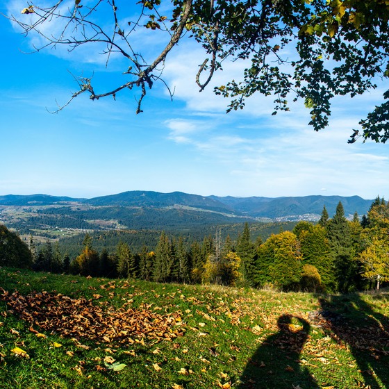 Осінь на Під-Бердя - Icon