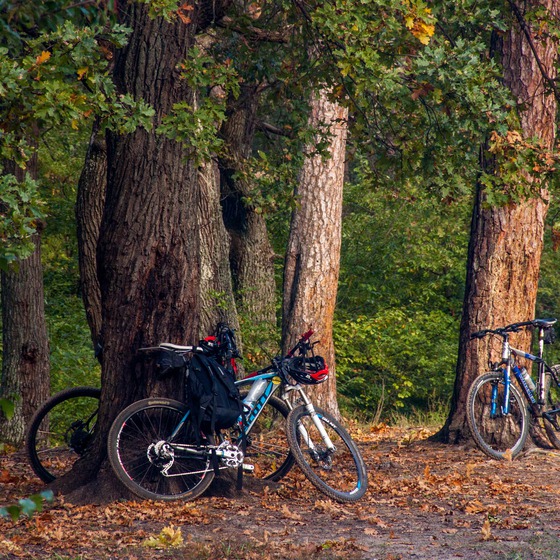 Броварський трек - Icon