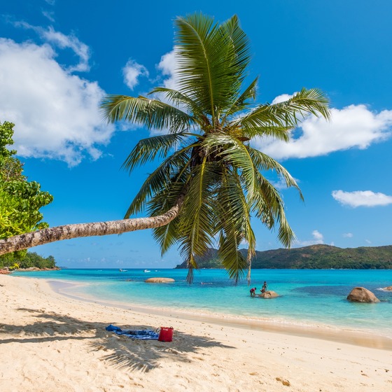 Seychelles 2020 icon