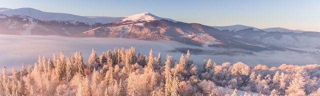 Winter in the Carpathian mountains  - Title image