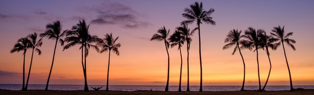 Hawaii. Oahu - Title image