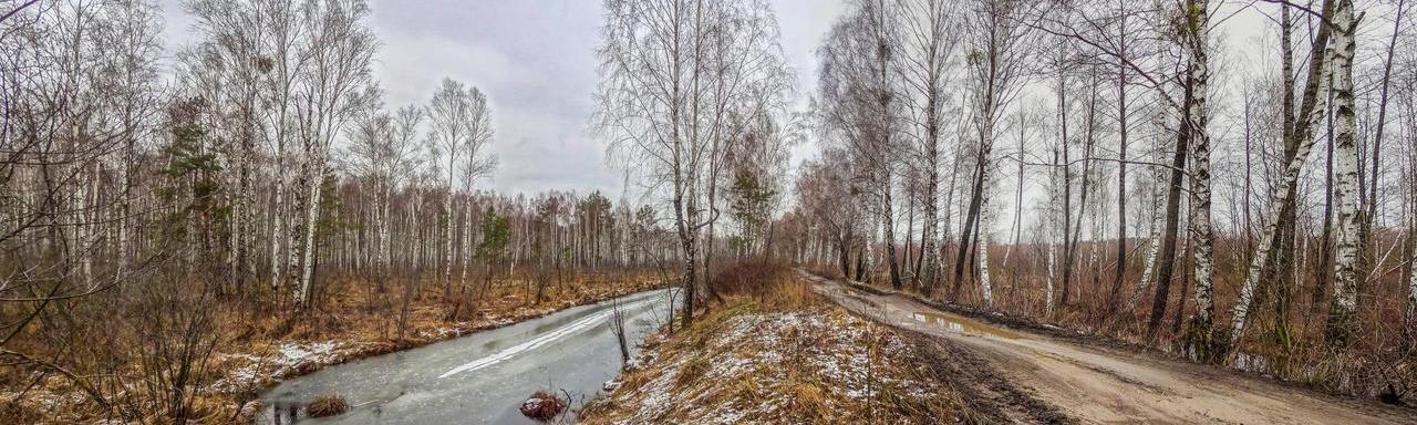 Поліська вузькоколійка - Title image