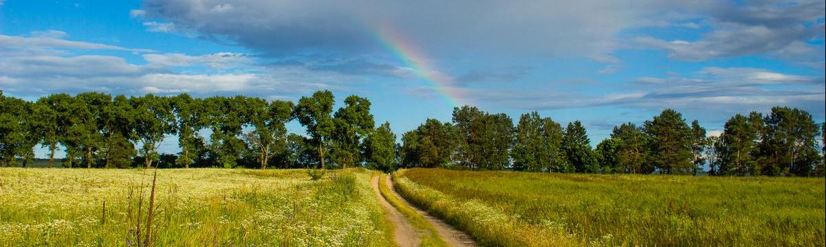 Сухолучча на велосипеді - Title image